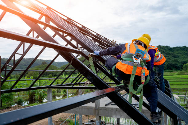 Best Metal Roofing Contractor  in Toledo, OH